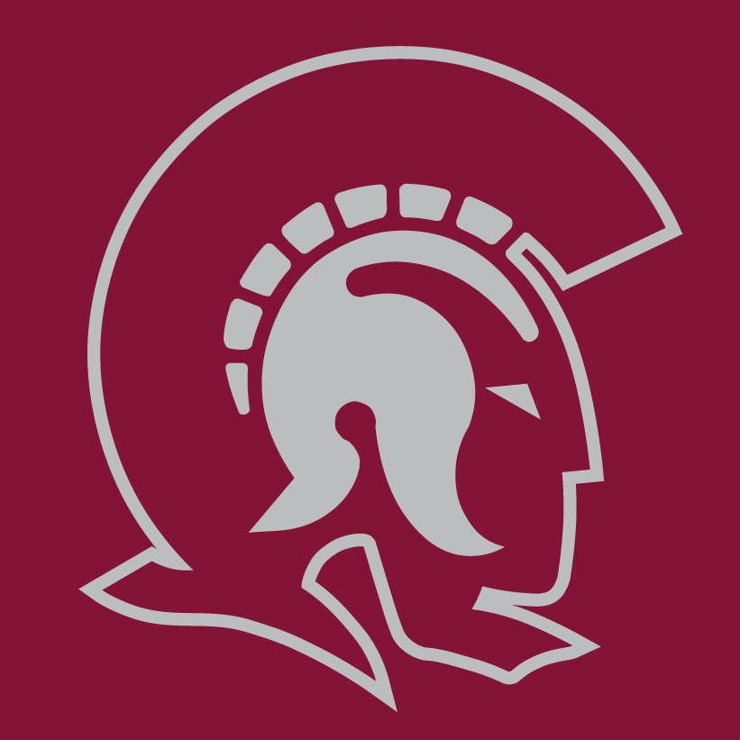 Arkansas-Little Rock Trojans 1997-Pres Alternate Logo v2 iron on transfers for T-shirts